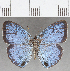  ( - CFC25860)  @11 [ ] Copyright (2019) Christer Fahraeus Center For Collection-Based Research