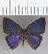  ( - CFC25951)  @11 [ ] Copyright (2020) Christer Fahraeus Center For Collection-Based Research