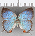  ( - CFC25993)  @11 [ ] copyright (2020) Christer Fahraeus Center For Collection-Based Research