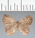  ( - CFC26034)  @11 [ ] copyright (2022) Center For Collection-Based Research Center For Collection-Based Research