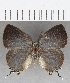  ( - CFC26127)  @11 [ ] Copyright (2019) Christer Fahraeus Center For Collection-Based Research
