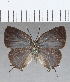  ( - CFC26210)  @11 [ ] Copyright (2020) Christer Fahraeus Center For Collection-Based Research