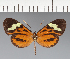  ( - CFC26313)  @11 [ ] copyright (2023) Center For Collection-Based Research Center For Collection-Based Research