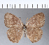  ( - CFC02645)  @11 [ ] Copyright (2018) Christer Fahraeus Center For Collection-Based Research