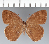  ( - CFC26491)  @11 [ ] copyright (2022) Center For Collection-Based Research Center For Collection-Based Research