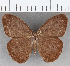  ( - CFC26541)  @11 [ ] copyright (2020) Christer Fahraeus Center For Collection-Based Research