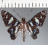  ( - CFC26600)  @11 [ ] copyright (2023) Center For Collection-Based Research Center For Collection-Based Research