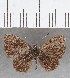  ( - CFC26602)  @11 [ ] Copyright (2019) Christer Fahraeus Center For Collection-Based Research