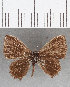  ( - CFC26617)  @11 [ ] Copyright (2019) Christer Fahraeus Center For Collection-Based Research