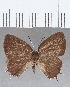  ( - CFC26620)  @11 [ ] Copyright (2020) Christer Fahraeus Center For Collection-Based Research