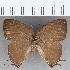  ( - CFC26747)  @11 [ ] Copyright (2020) Christer Fahraeus Center For Collection-Based Research