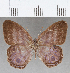  ( - CFC26855)  @11 [ ] Copyright (2019) Christer Fahraeus Center For Collection-Based Research