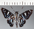  ( - CFC26985)  @11 [ ] copyright (2023) Center For Collection-Based Research Center For Collection-Based Research