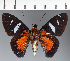  ( - CFC27077)  @11 [ ] copyright (2023) Center For Collection-Based Research Center For Collection-Based Research