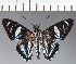  ( - CFC27082)  @11 [ ] copyright (2023) Center For Collection-Based Research Center For Collection-Based Research