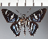  ( - CFC27084)  @11 [ ] copyright (2023) Center For Collection-Based Research Center For Collection-Based Research