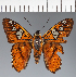  ( - CFC27088)  @11 [ ] copyright (2023) Center For Collection-Based Research Center For Collection-Based Research