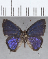  ( - CFC27119)  @11 [ ] Copyright (2020) Christer Fahraeus Center For Collection-Based Research