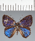  ( - CFC27127)  @11 [ ] copyright (2022) Center For Collection-Based Research Center For Collection-Based Research