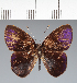  ( - CFC27158)  @11 [ ] copyright (2022) Center For Collection-Based Research Center For Collection-Based Research