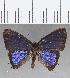  ( - CFC27308)  @11 [ ] Copyright (2020) Christer Fahraeus Center For Collection-Based Research