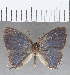  ( - CFC27311)  @11 [ ] Copyright (2020) Christer Fahraeus Center For Collection-Based Research