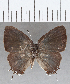  ( - CFC27320)  @11 [ ] Copyright (2020) Christer Fahraeus Center For Collection-Based Research