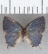  ( - CFC27328)  @11 [ ] Copyright (2020) Christer Fahraeus Center For Collection-Based Research