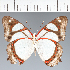  ( - CFC27370)  @11 [ ] copyright (2023) Center For Collection-Based Research Center For Collection-Based Research