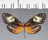  ( - CFC27456)  @11 [ ] copyright (2023) Center For Collection-Based Research Center For Collection-Based Research
