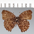  ( - CFC27555)  @11 [ ] copyright (2022) Center For Collection-Based Research Center For Collection-Based Research