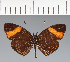  ( - CFC27636)  @11 [ ] copyright (2023) Center For Collection-Based Research Center For Collection-Based Research