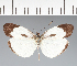  ( - CFC27637)  @11 [ ] copyright (2023) Center For Collection-Based Research Center For Collection-Based Research