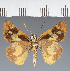  ( - CFC27950)  @11 [ ] copyright (2023) Center For Collection-Based Research Center For Collection-Based Research