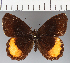  ( - CFC27968)  @11 [ ] copyright (2021) Center For Collection-Based Research Center For Collection-Based Research