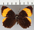  ( - CFC27980)  @11 [ ] copyright (2021) Center For Collection-Based Research Center For Collection-Based Research