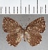  ( - CFC28011_2)  @11 [ ] copyright (2022) Center For Collection-Based Research Center For Collection-Based Research