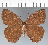 ( - CFC28041)  @11 [ ] copyright (2022) Center For Collection-Based Research Center For Collection-Based Research