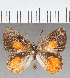  ( - CFC28053_2)  @11 [ ] copyright (2022) Center For Collection-Based Research Center For Collection-Based Research