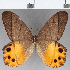  ( - CFC28072)  @11 [ ] Copyright (2019) Christer Fahraeus Center For Collection-Based Research