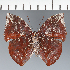  ( - CFC28090N)  @11 [ ] copyright (2023) Center For Collection-Based Research Center For Collection-Based Research