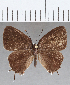  ( - CFC28107)  @11 [ ] Copyright (2020) Christer Fahraeus Center For Collection-Based Research