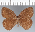  ( - CFC28172)  @11 [ ] copyright (2022) Center For Collection-Based Research Center For Collection-Based Research