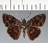  ( - CFC28450)  @11 [ ] copyright (2023) Center For Collection-Based Research Center For Collection-Based Research