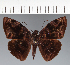  ( - CFC28476)  @11 [ ] copyright (2023) Center For Collection-Based Research Center For Collection-Based Research