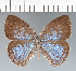 ( - CFC28578)  @11 [ ] copyright (2022) Center For Collection-Based Research Center For Collection-Based Research