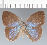  ( - CFC28646)  @11 [ ] copyright (2022) Center For Collection-Based Research Center For Collection-Based Research