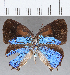  ( - CFC28747)  @11 [ ] Copyright (2020) Christer Fahraeus Center For Collection-Based Research