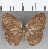  ( - CFC28818)  @11 [ ] copyright (2020) Christer Fahraeus Center For Collection-Based Research