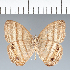  ( - CFC29001)  @11 [ ] copyright (2022) Center For Collection-Based Research Center For Collection-Based Research